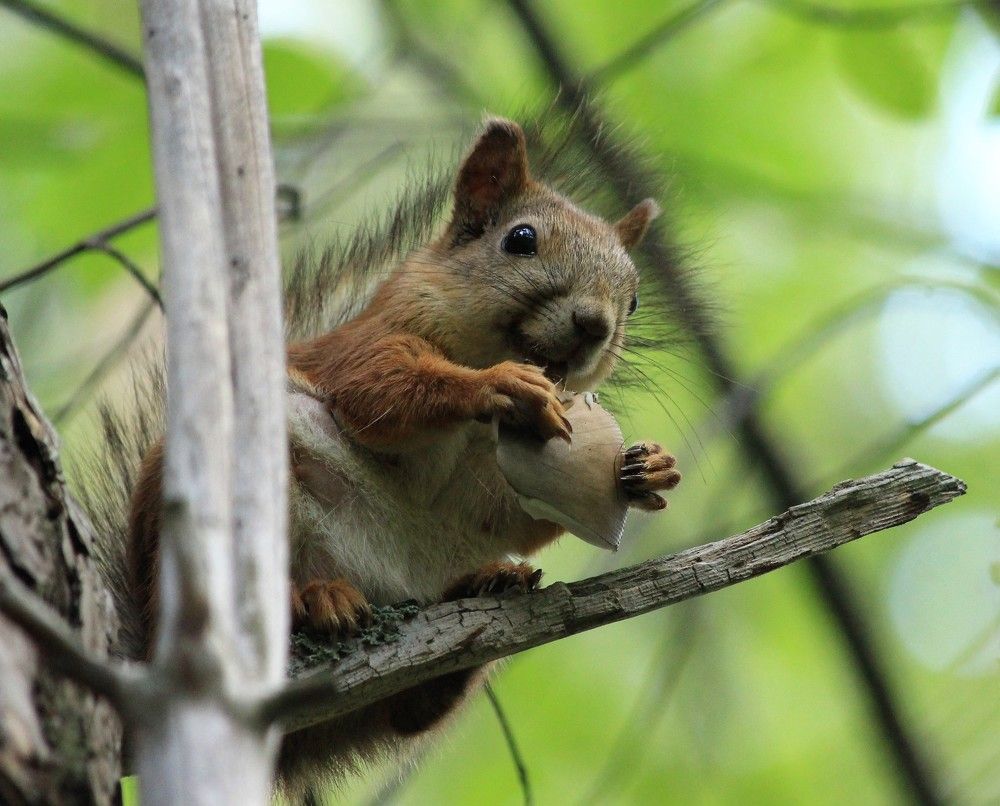 Photograph by Анна Колосова