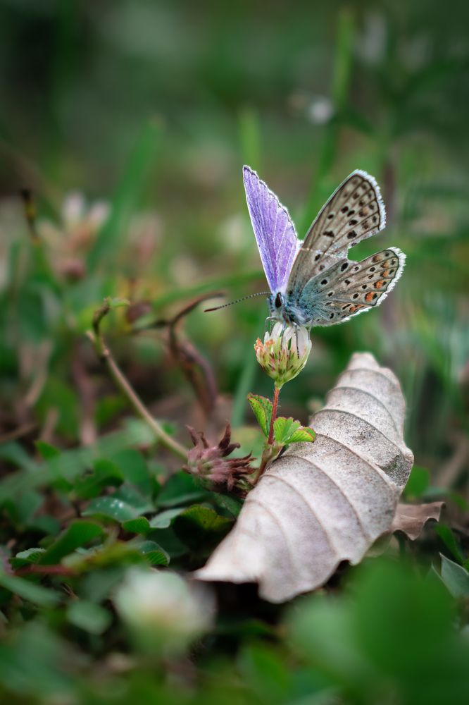 Photograph by Ezat Moradi Fard