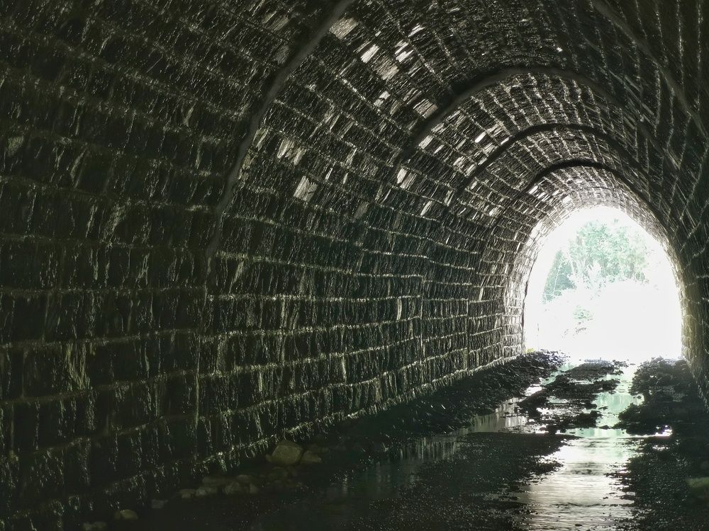 Photograph by Irina Luidinshina