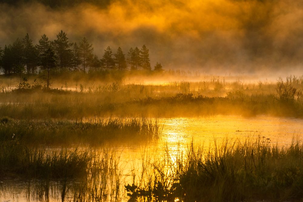 Photograph by Павел Жаров