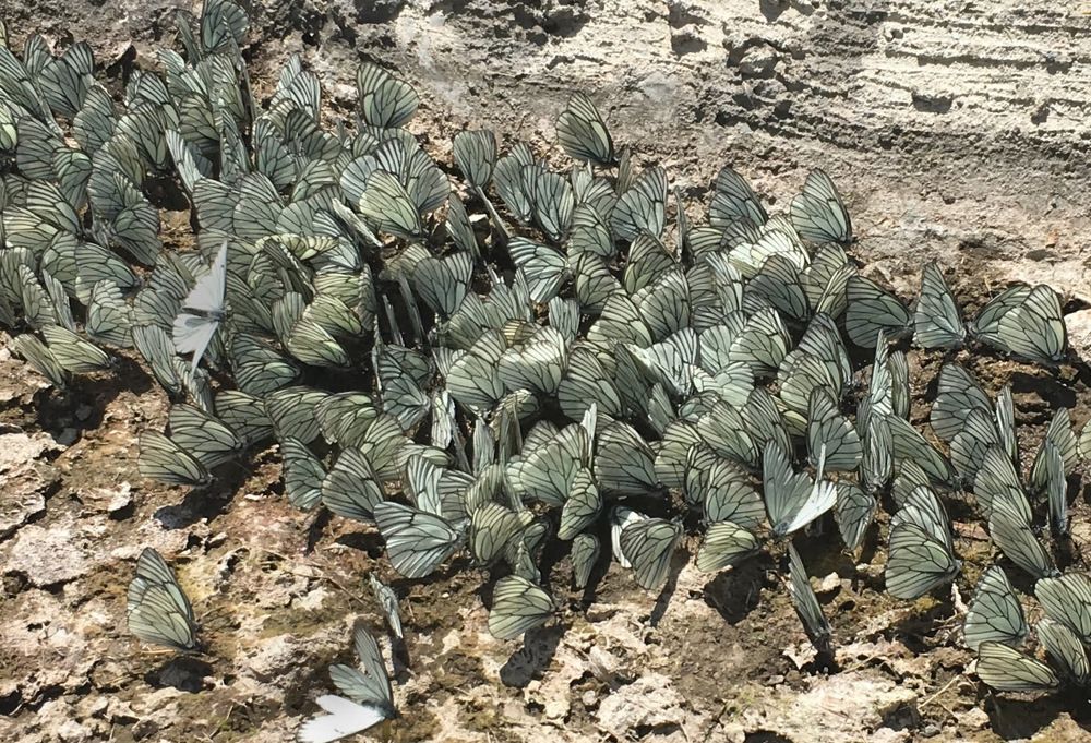 Photograph by Anastasiia