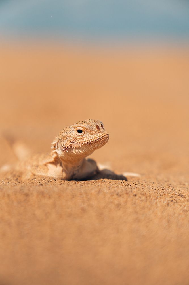 Photograph by Гусаров Андрей