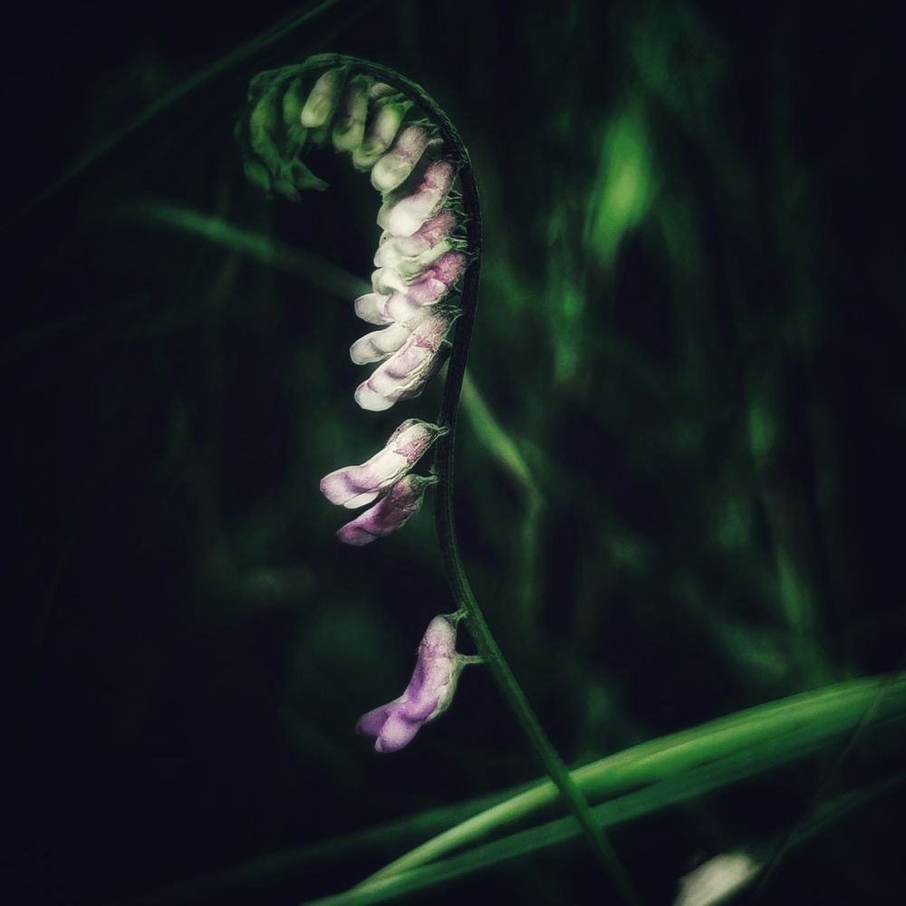 Photograph by Nikolett Mengyi