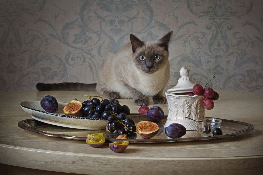 Фотография автора Анна Петина