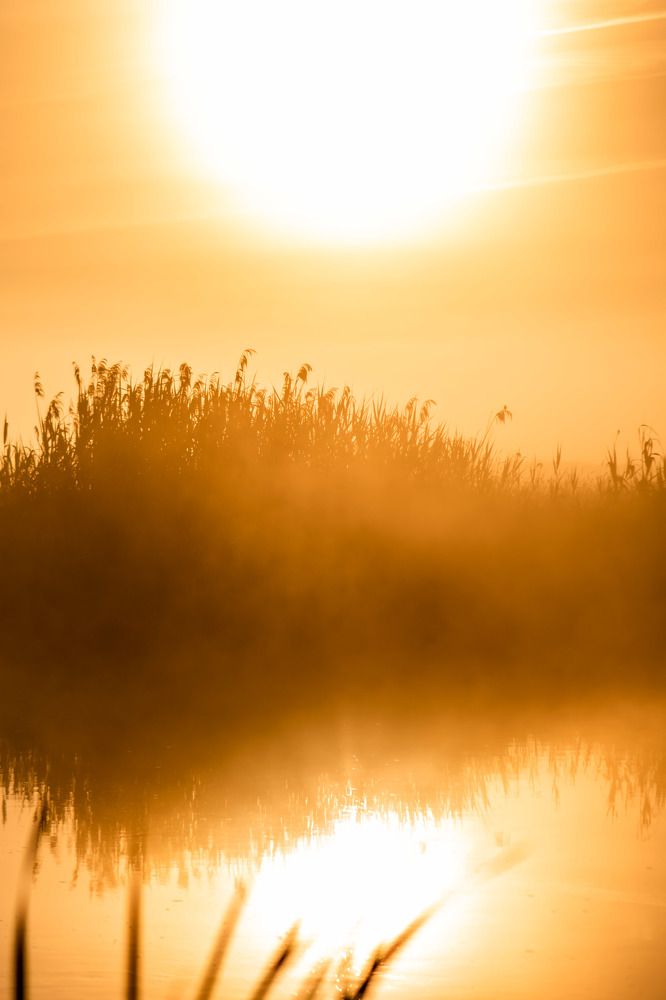 Photograph by Aliaksandra Klimchuk