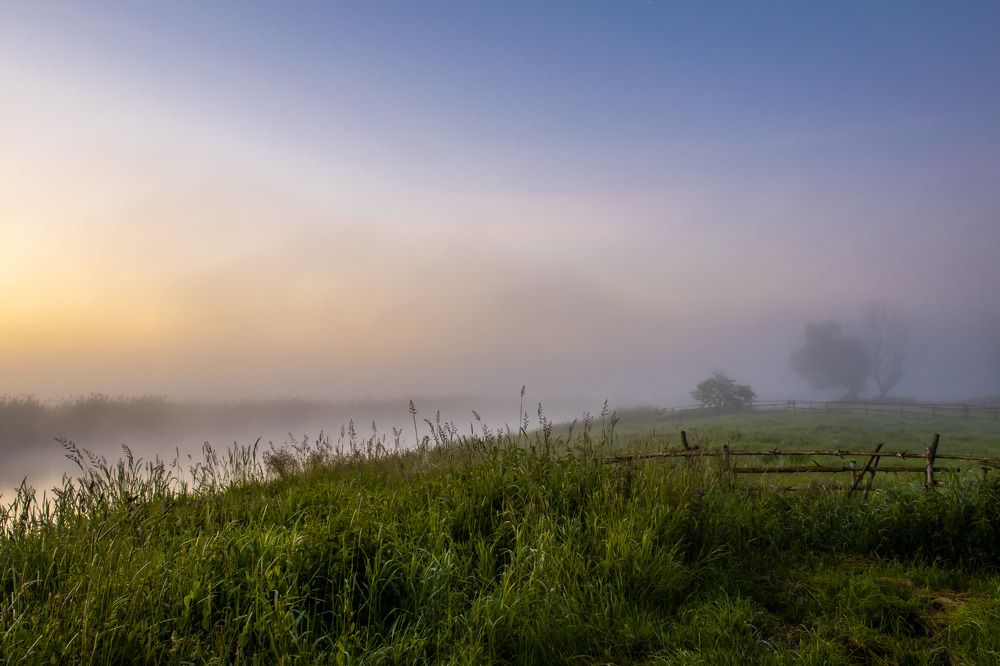 Photograph by Aliaksandra Klimchuk