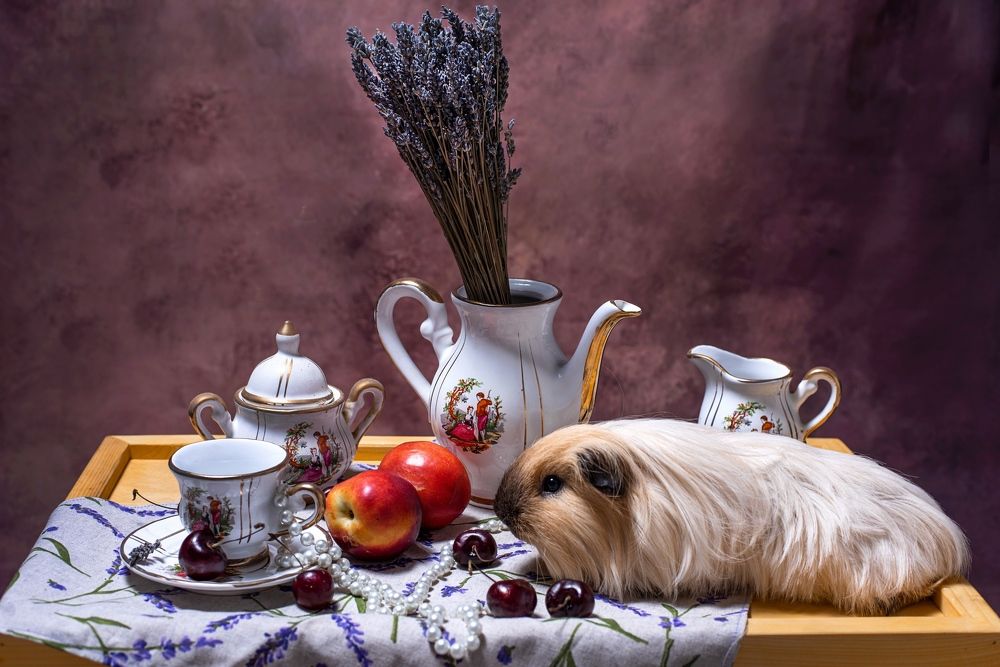 Photograph by Мария Логовик