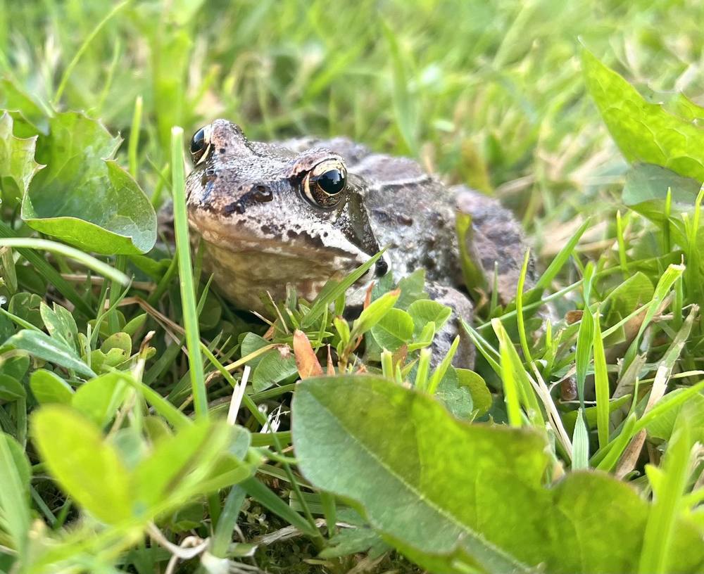 Photograph by Елена Карпухно