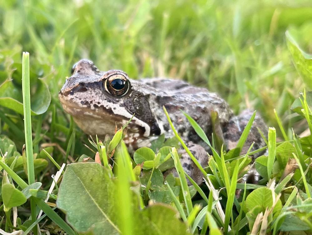 Photograph by Елена Карпухно