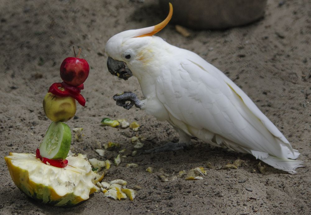 Photograph by Михаил Измайлов