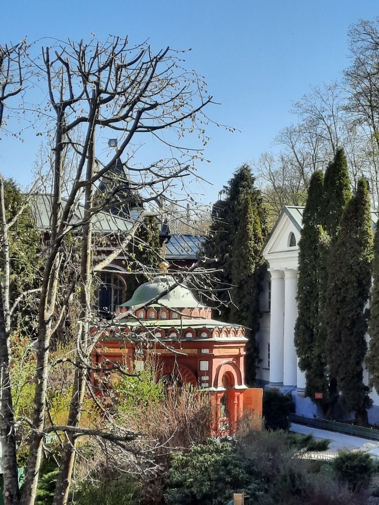 Photograph by Юлия