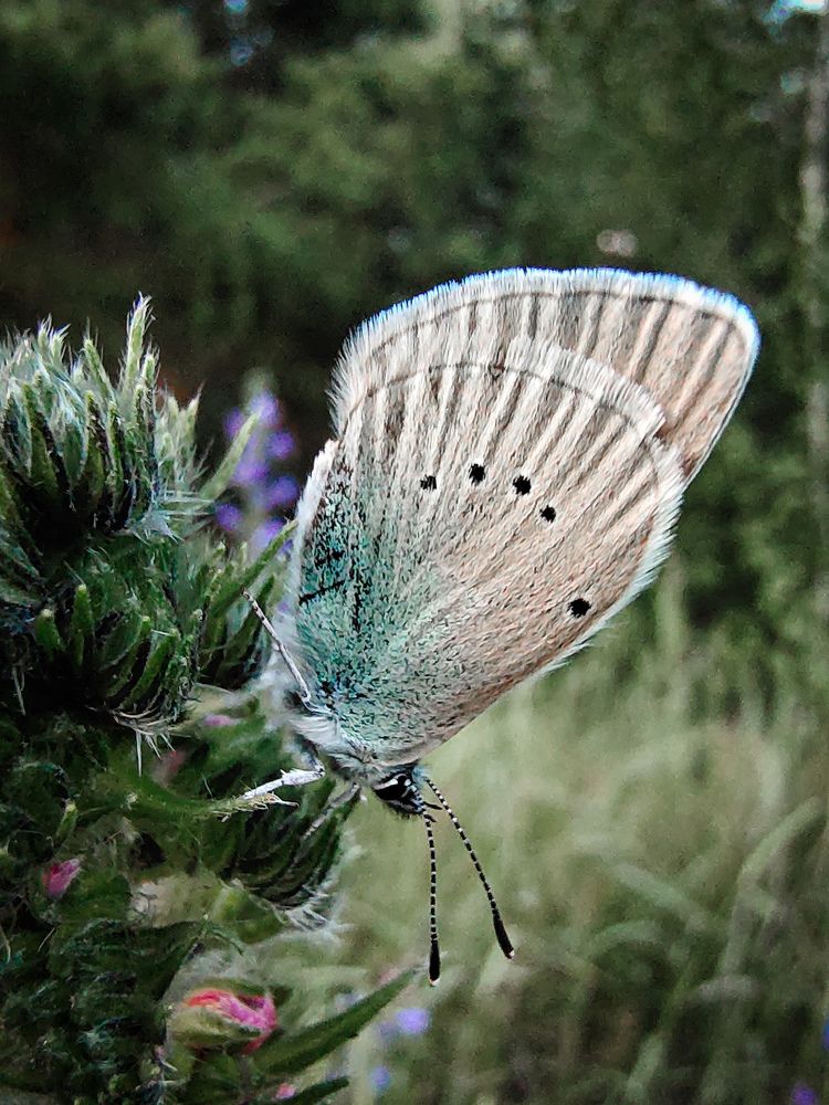 Photograph by Альфия