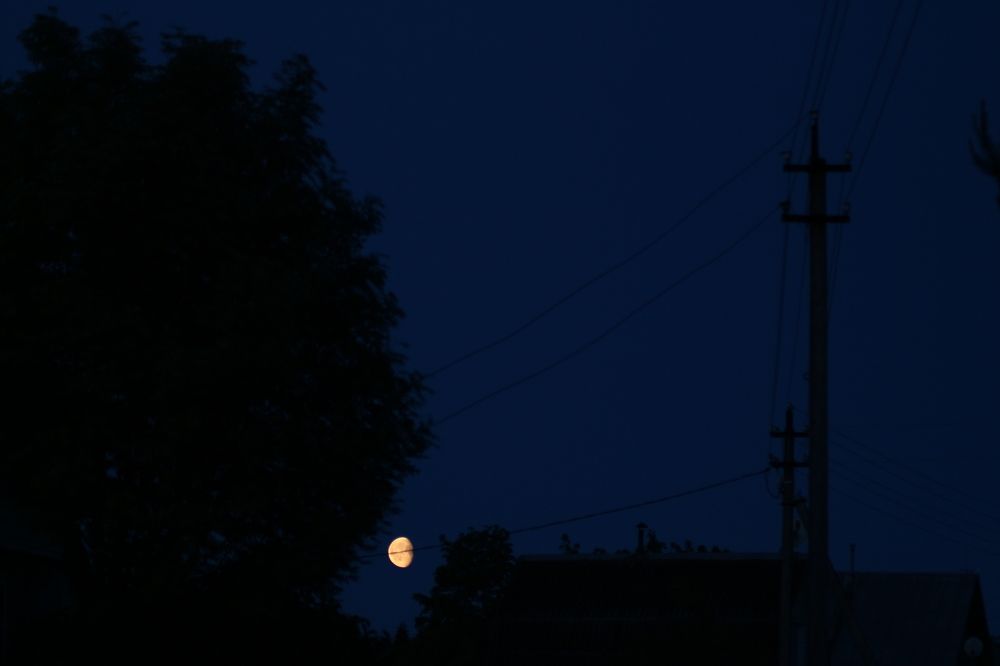 Фотография автора Егоров Максим