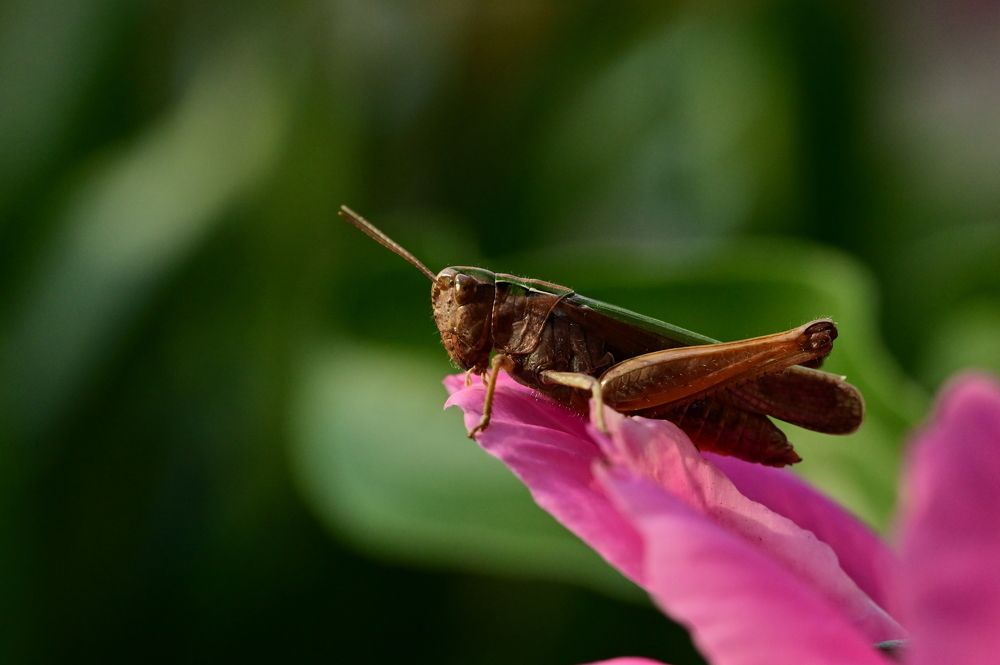 Photograph by Алексей и Юлия Дарьины
