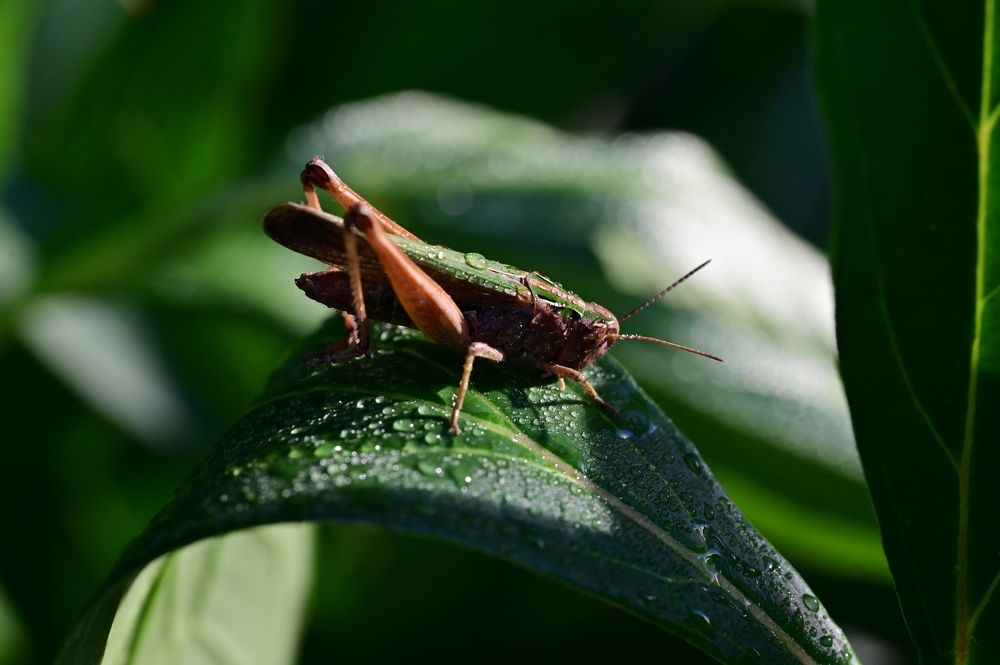 Photograph by Алексей и Юлия Дарьины