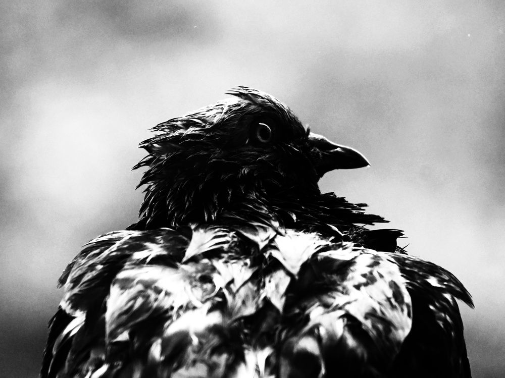 Фотография автора Ola La