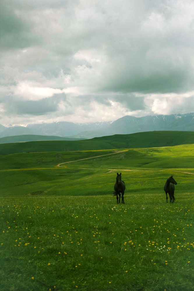 Photograph by Оксана Пидоря