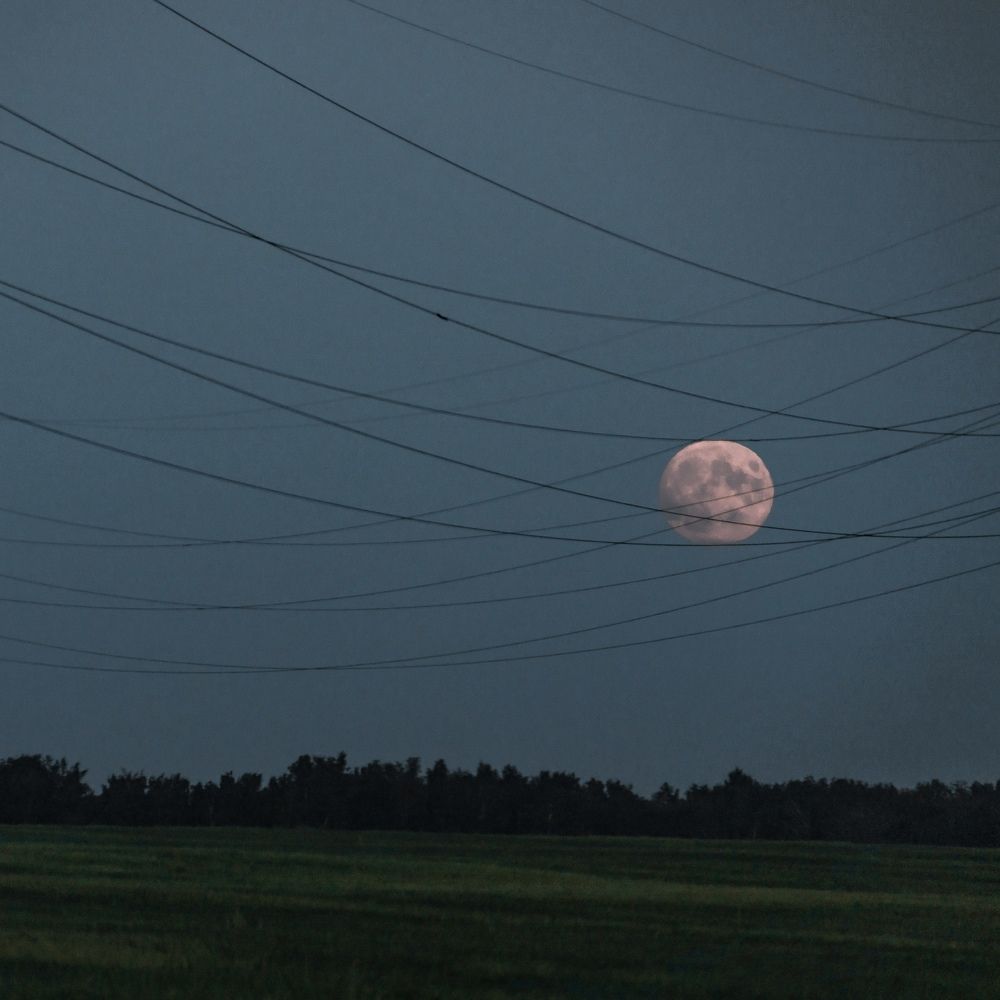 Photograph by Вероника Раевская