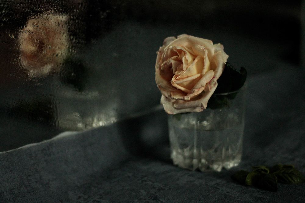 Photograph by Татьяна Гатиятуллина