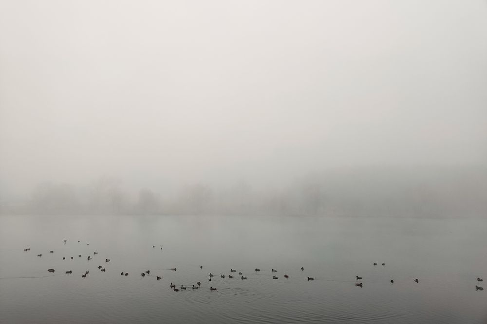 Photograph by Дмитрий Синицын