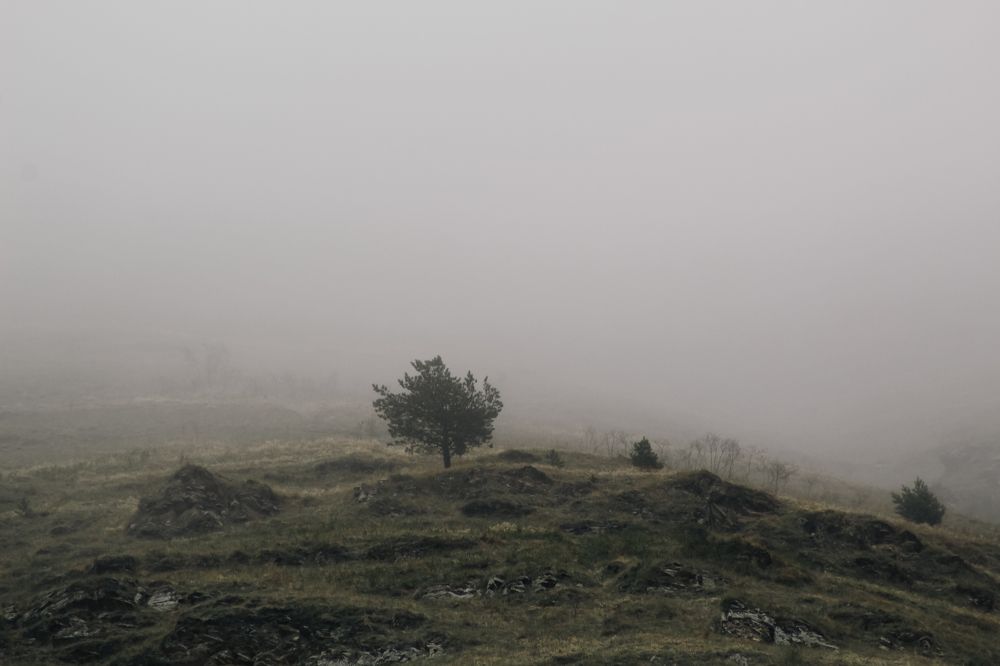 Photograph by Дмитрий Синицын