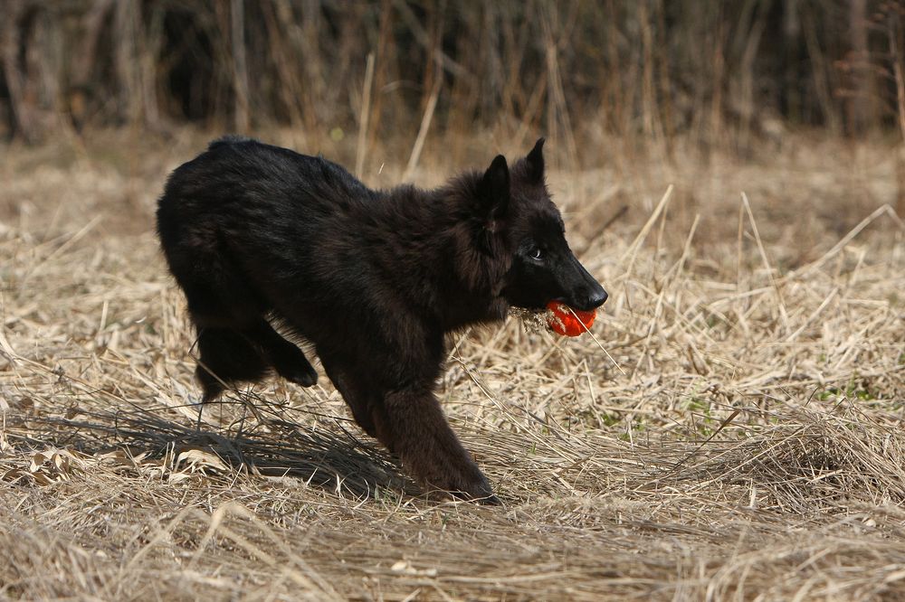 Фотография автора Надежда Лисицына