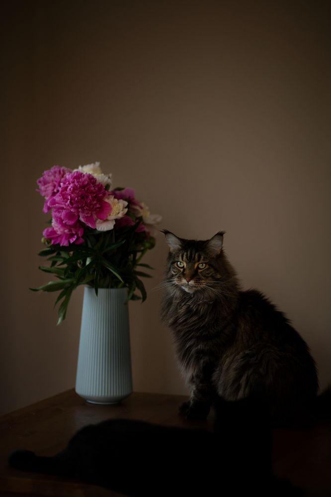 Photograph by Екатерина Смирнова