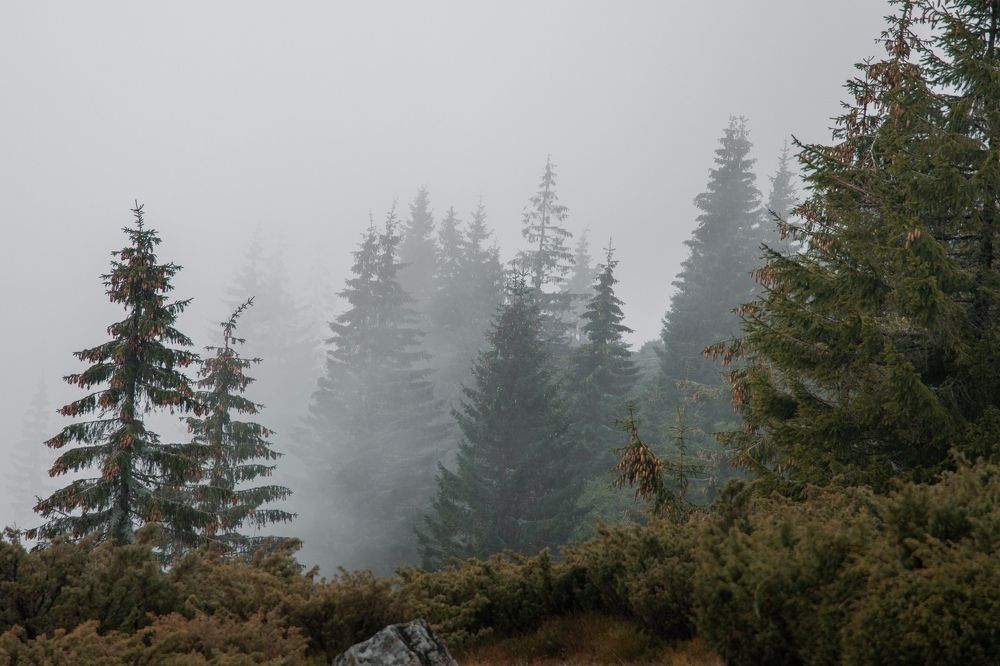 Фотография автора Sebastian Popa