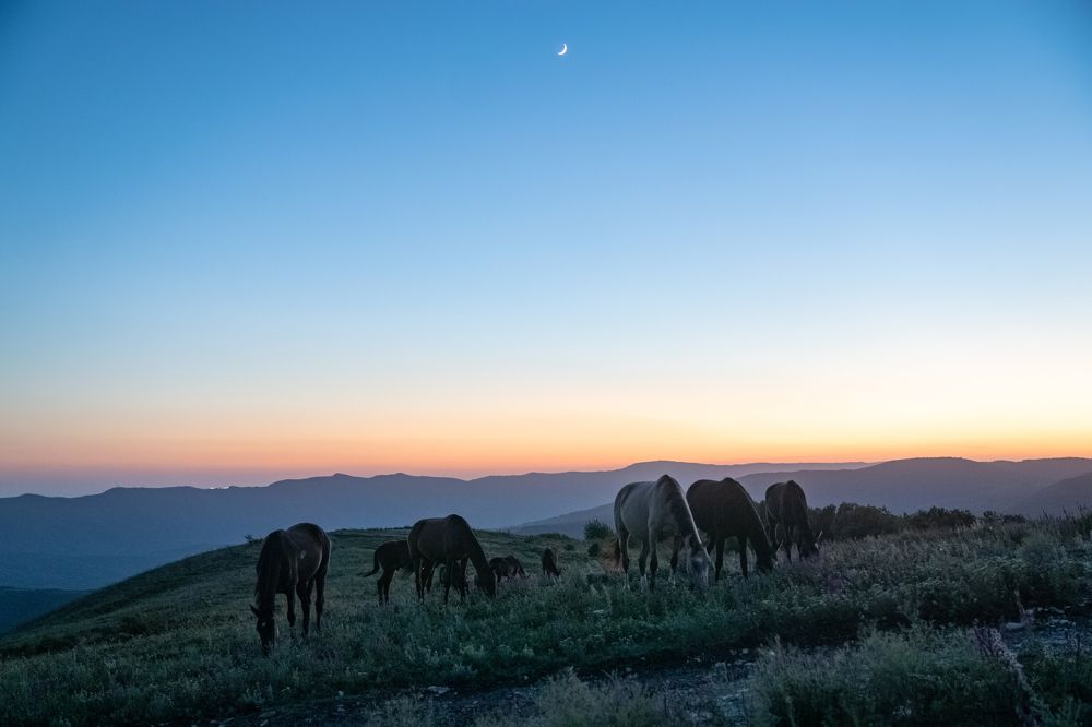 Photograph by Наталья Пилипенко
