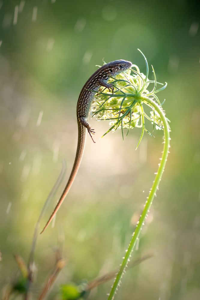 Photograph by Анна Иванова