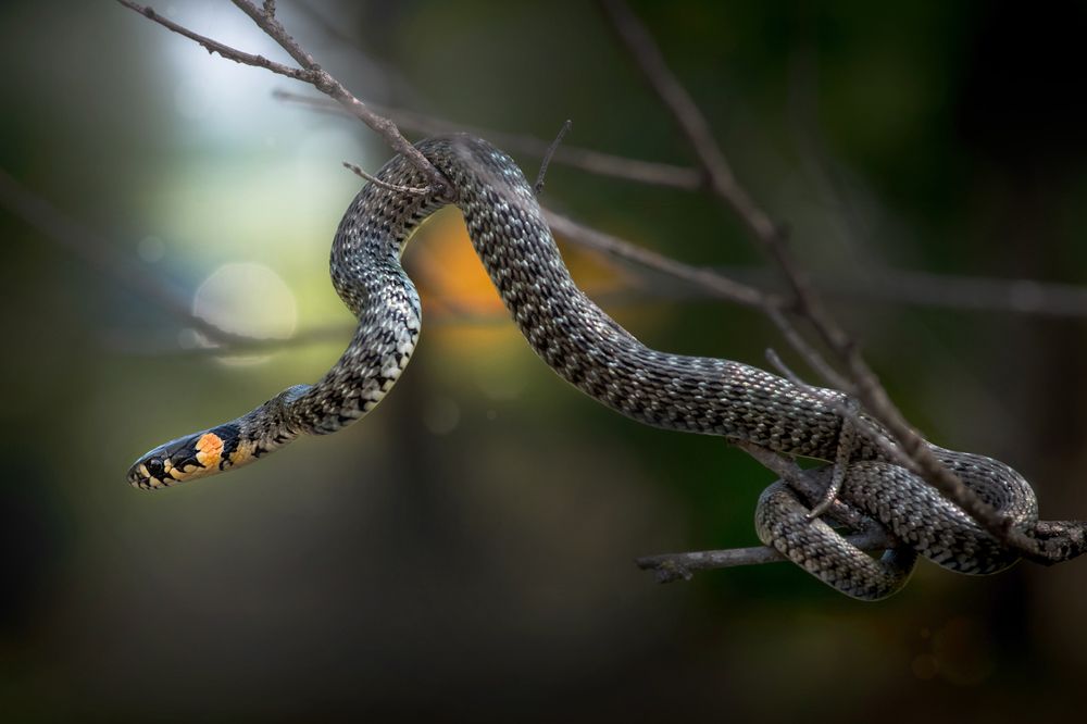 Photograph by Анна Иванова