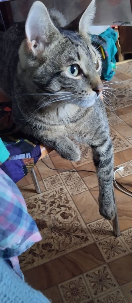 Photograph by Елена Малкова