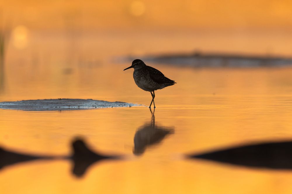 Photograph by Павел Краснослободцев