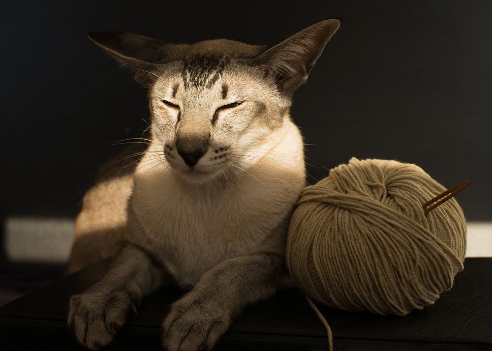 Photograph by Наталья Цуканова