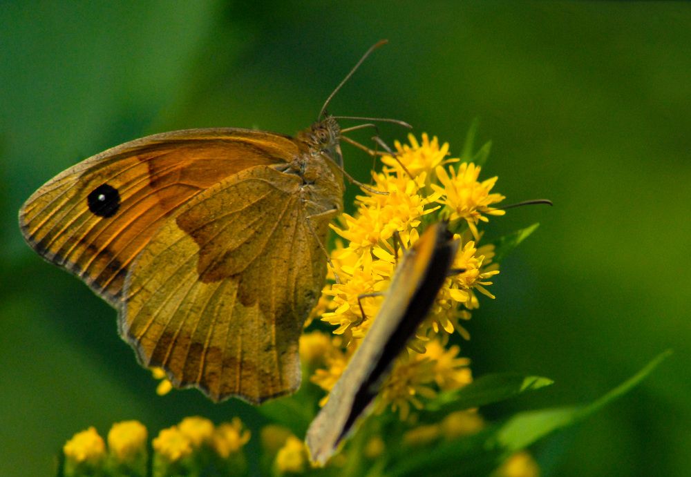 Photograph by Римма Волченко