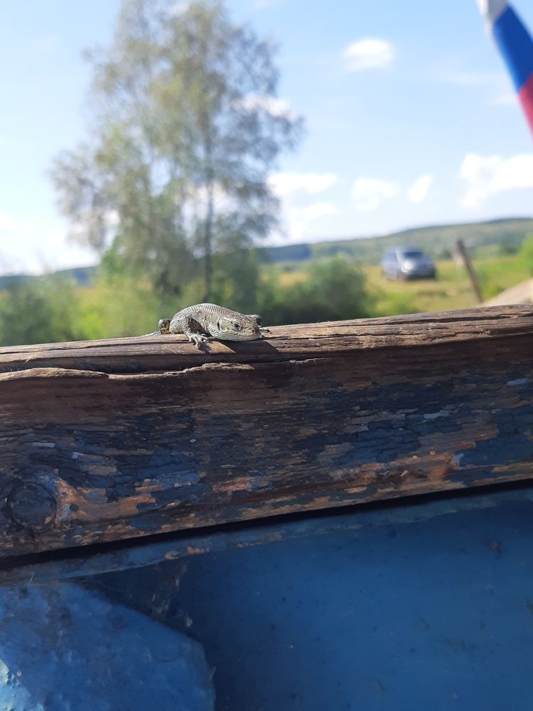 Photograph by Алексей Тихонов