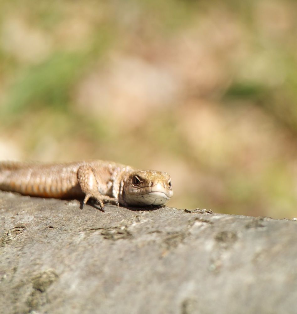 Photograph by Данила