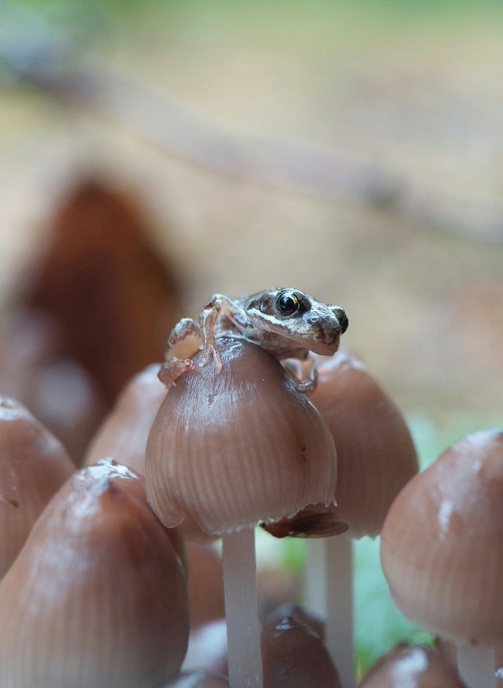 Photograph by Данила