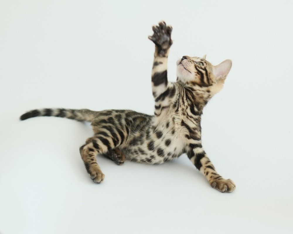 Photograph by Maarjana Bartow