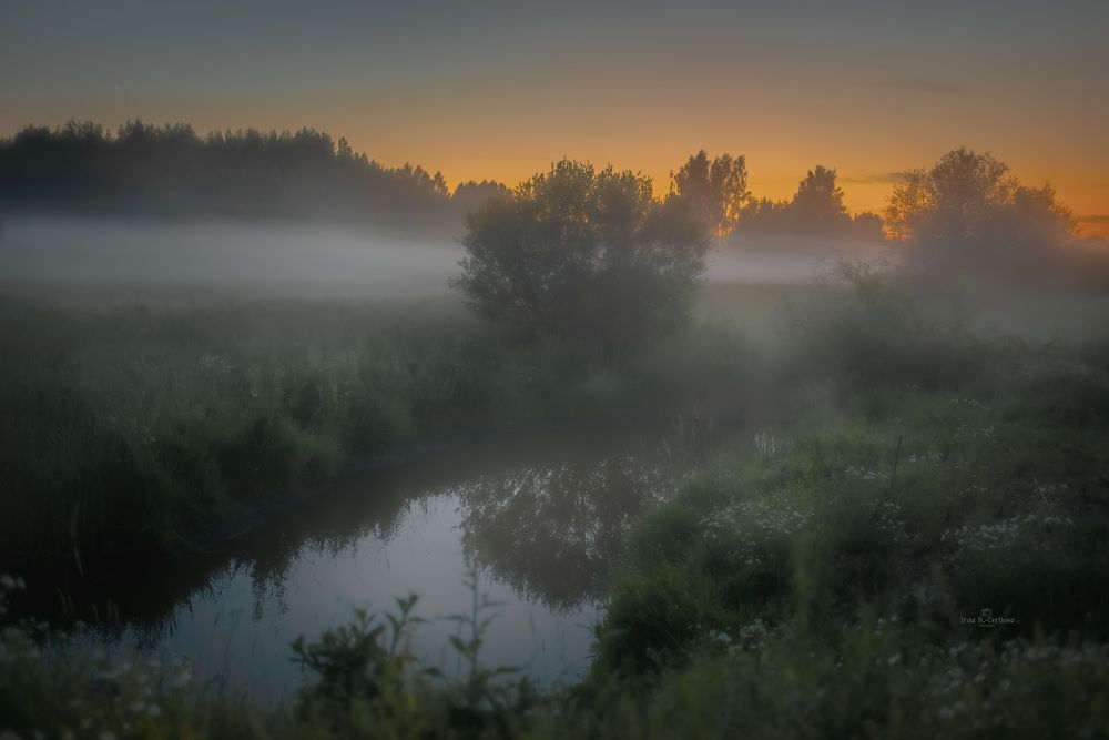 Photograph by Irina Nadolska
