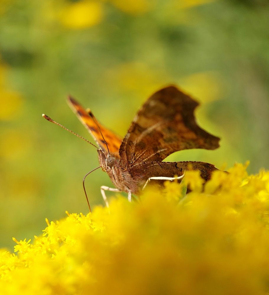 Photograph by Данила