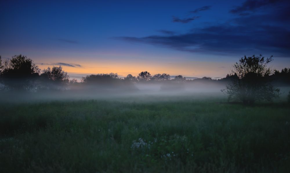 Photograph by Irina Nadolska