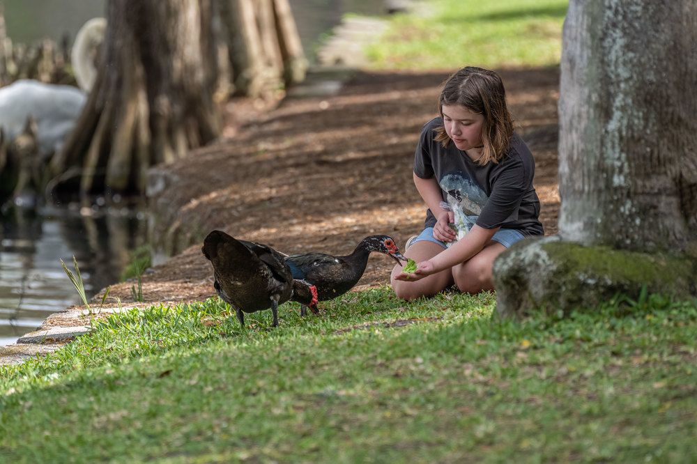 Фотография автора Erik Nelson