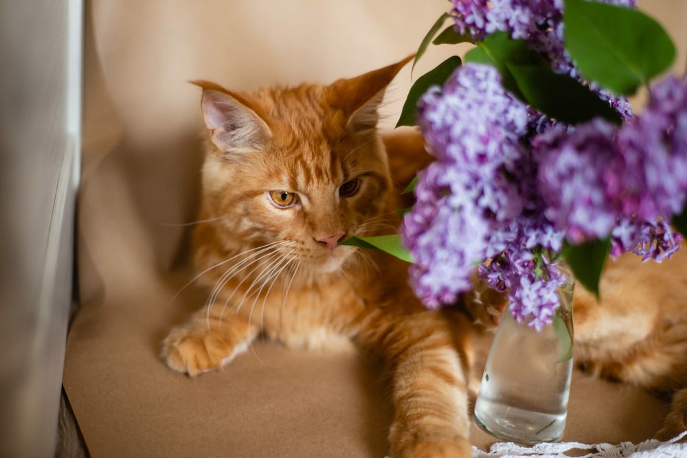 Photograph by Светлана Субботина