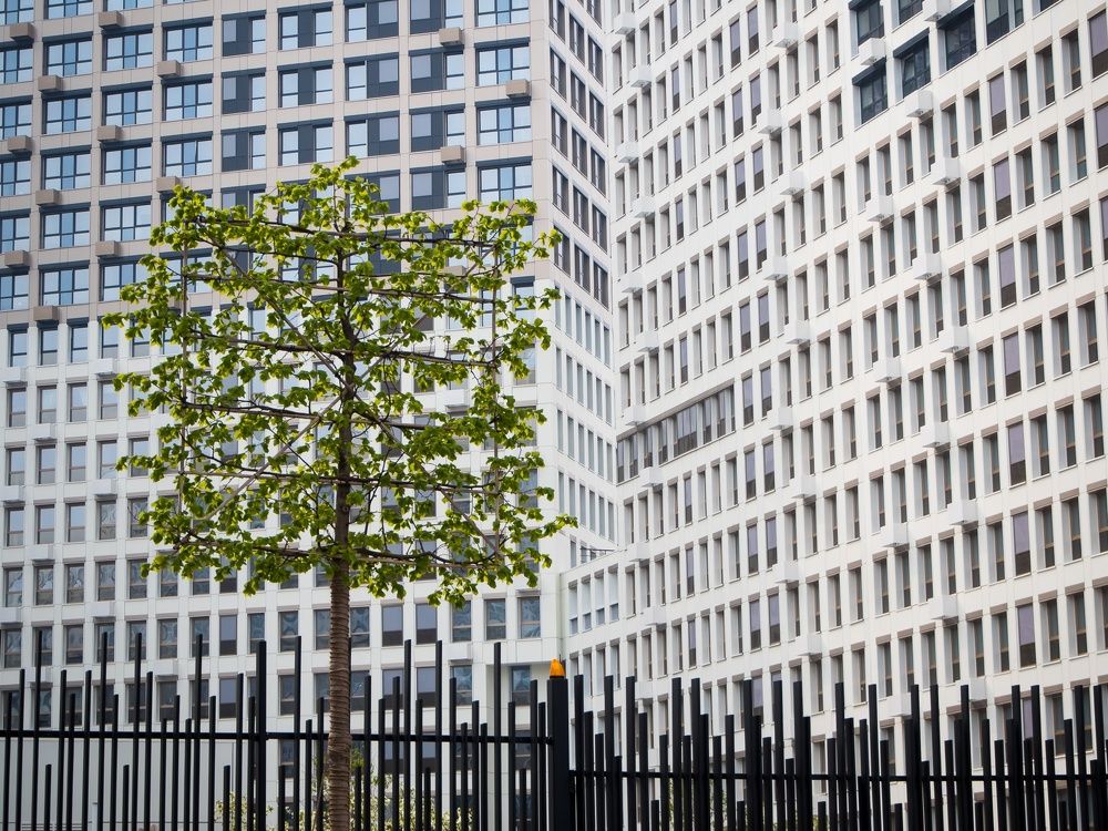 Photograph by Алена Алалыкина