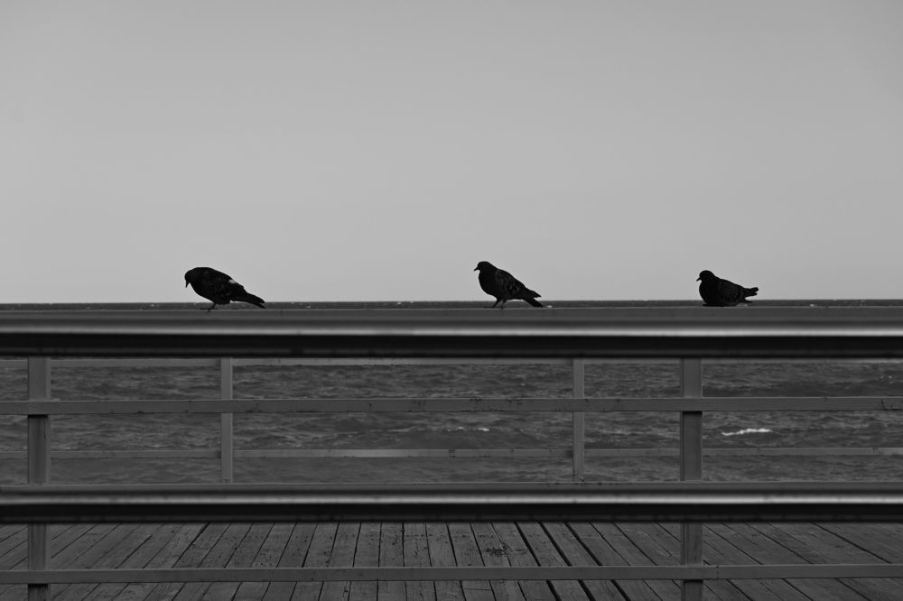 Photograph by Ирина