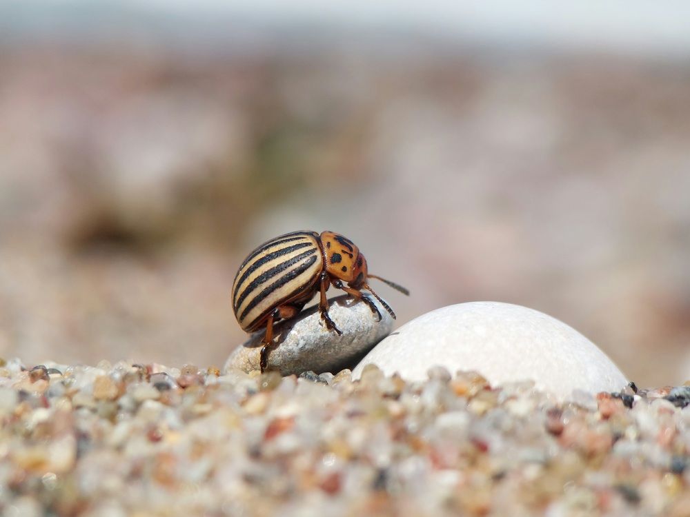 Photograph by Данила