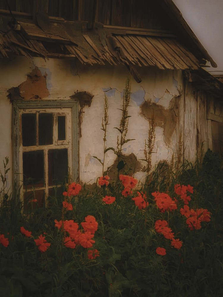 Photograph by Наталья Чередниченко