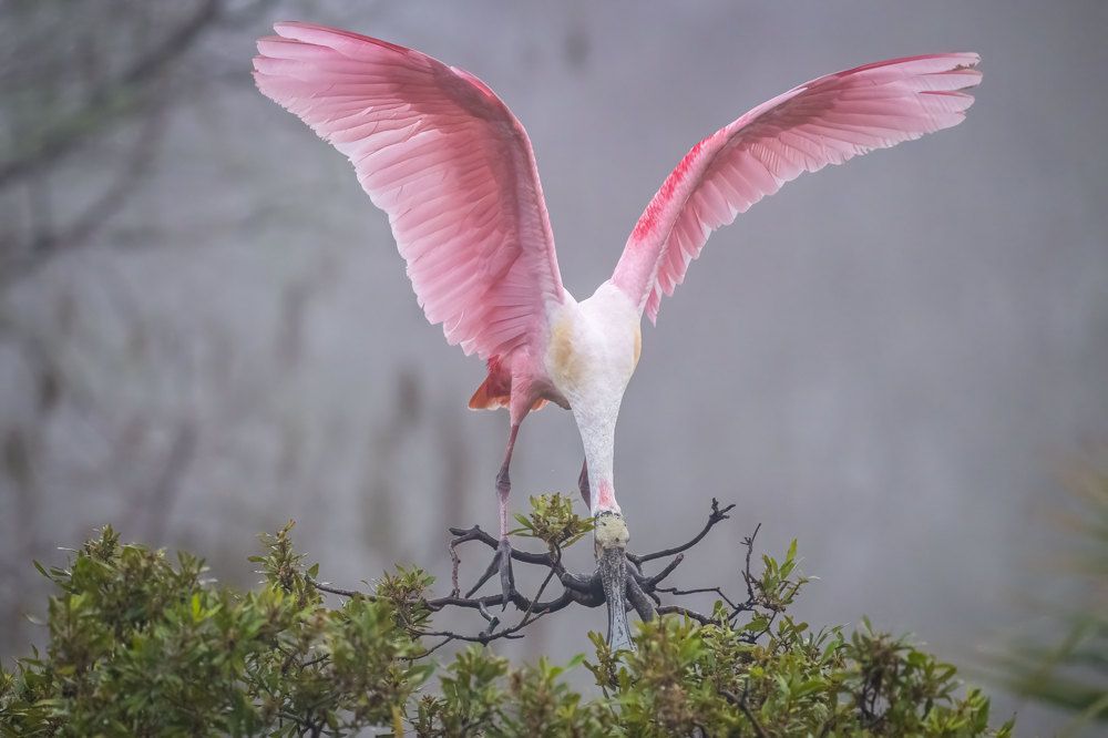 Photograph by Erik Nelson