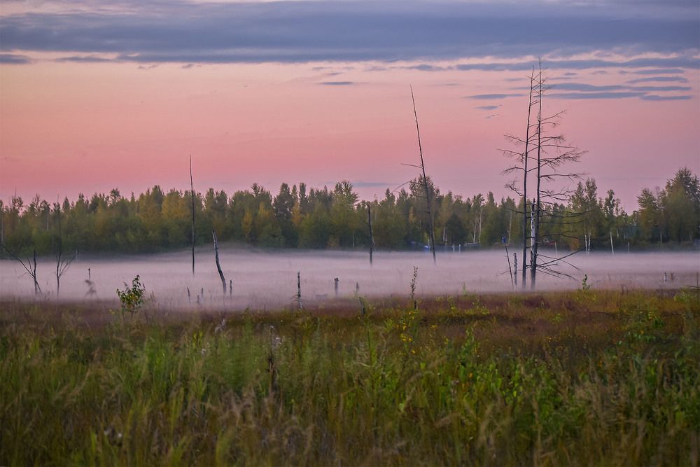 Удивительный туман